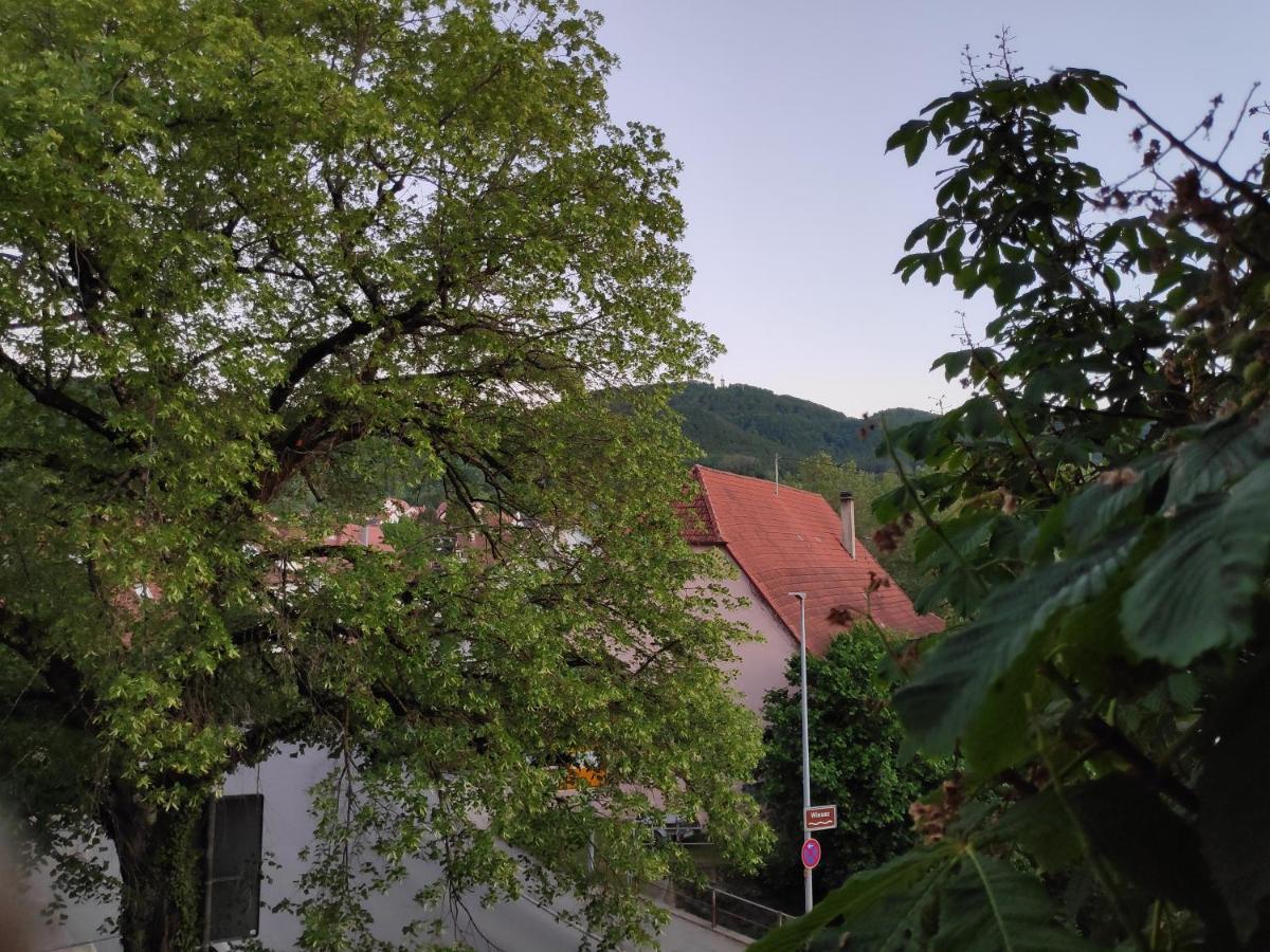 Ferienwohnungen Und Zimmer In Reutlingen-Goenningen Екстериор снимка